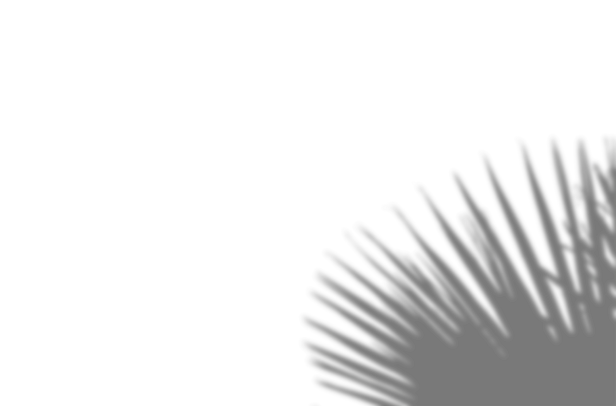 plant shadow overlay