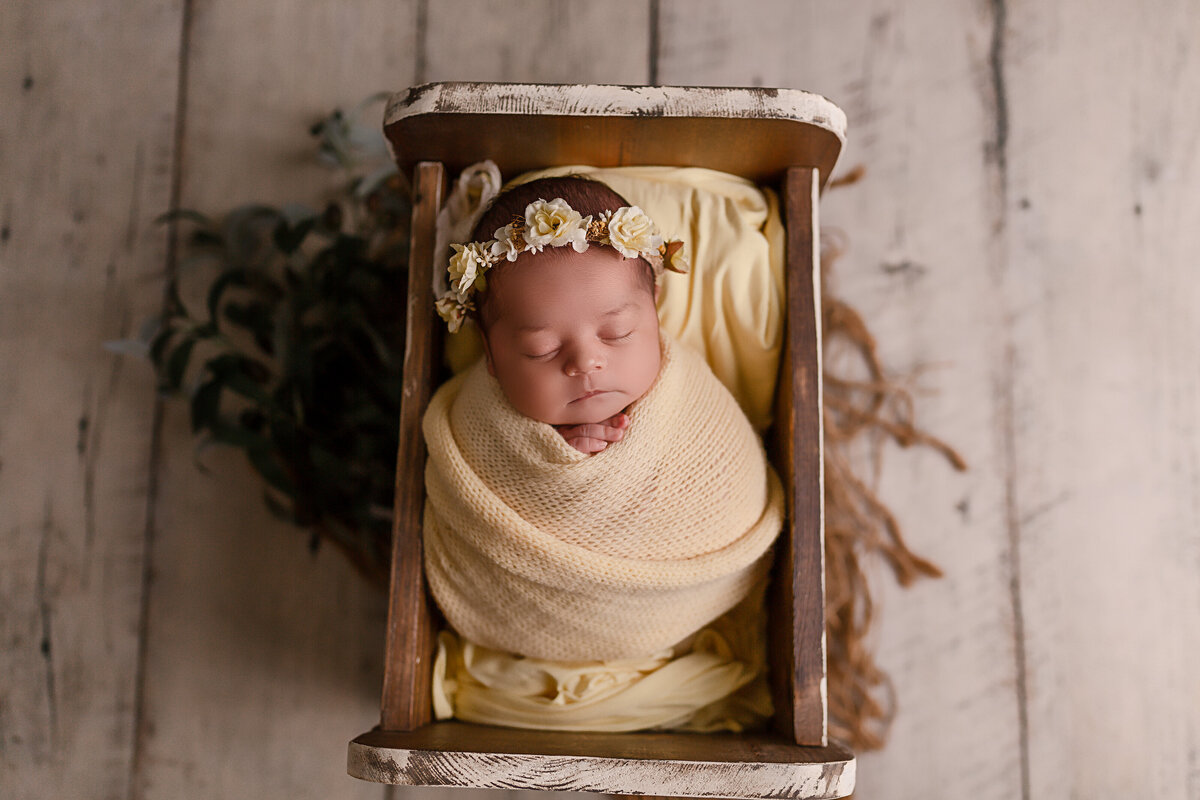 austin  texas newborn photographer