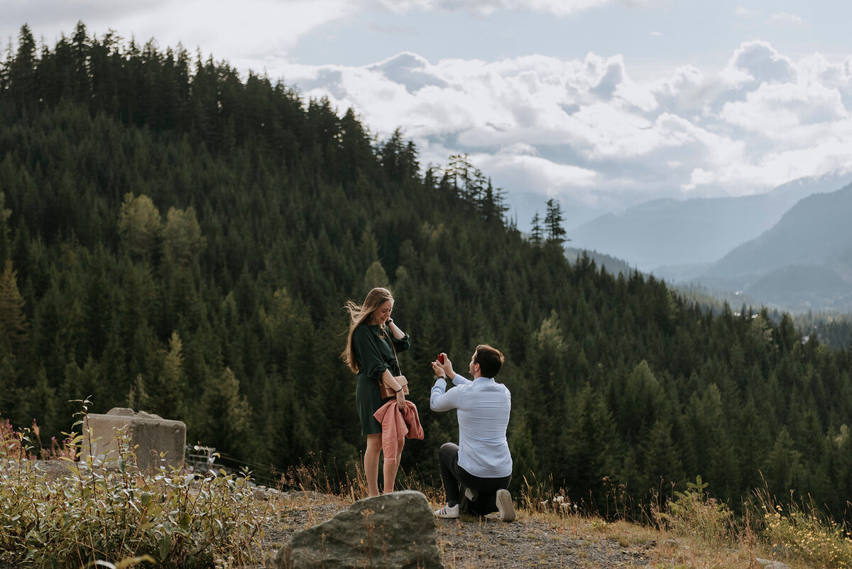 Taluswood Proposal Aurelie + Nicolas2