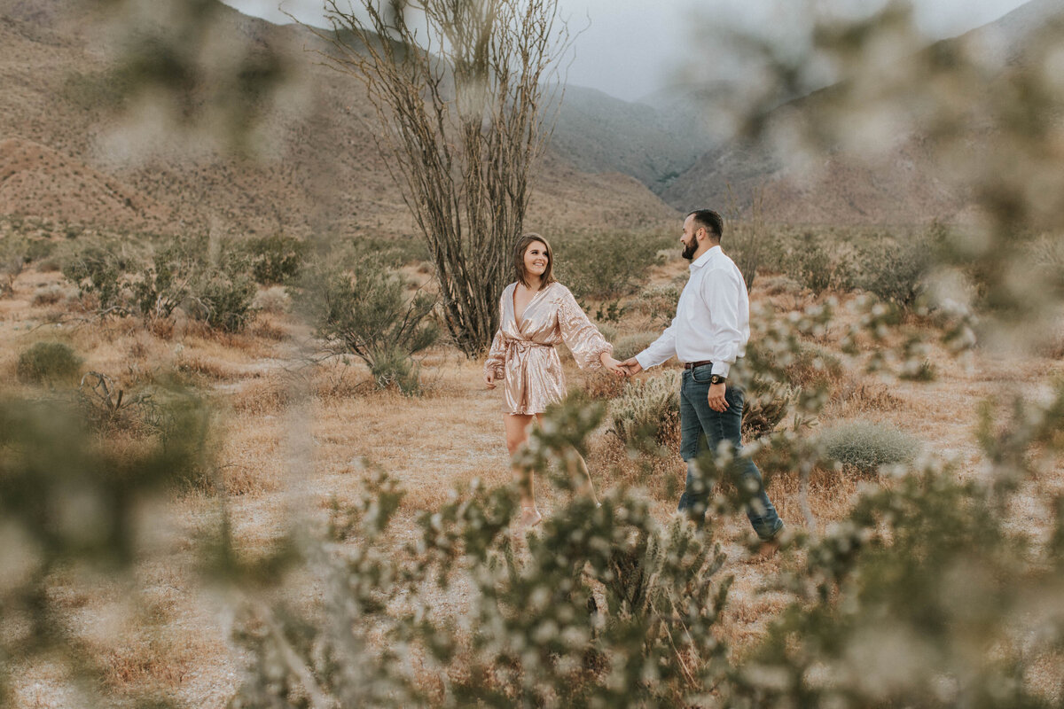 Borrego Desert Engagement Session0026