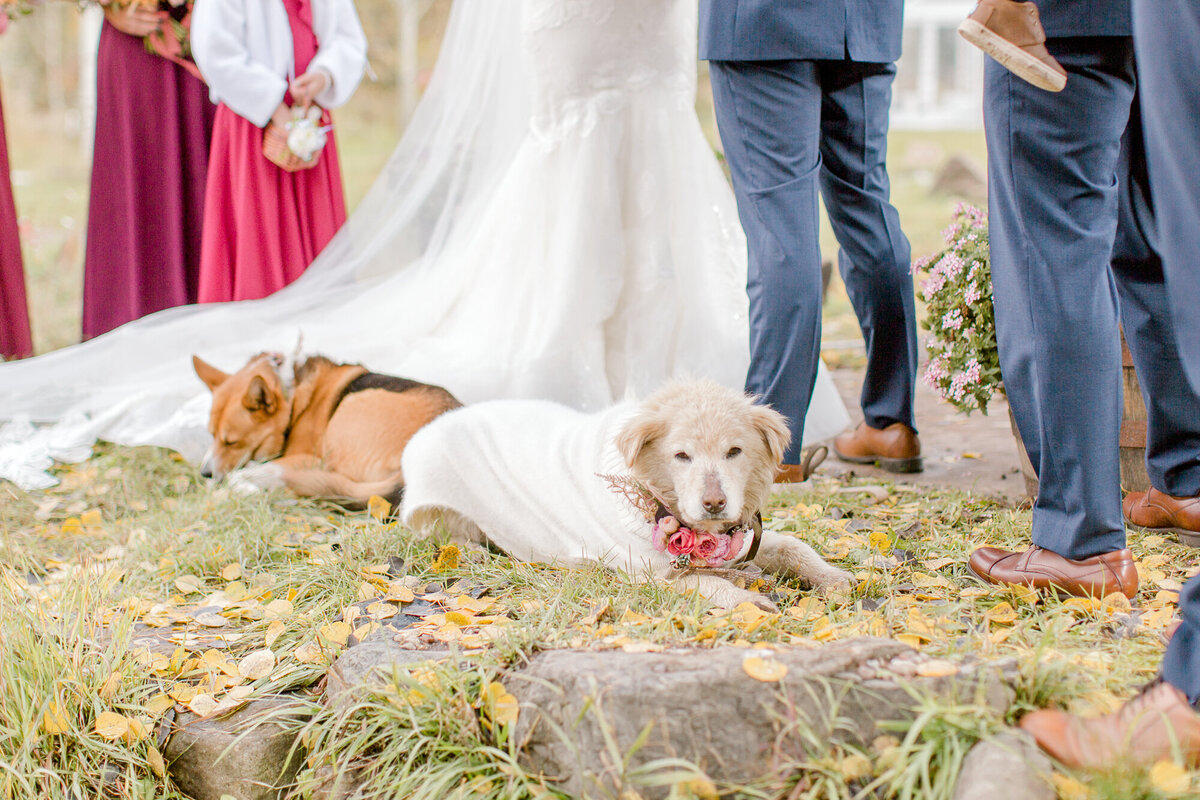 aspen_colorado_fall_wedding_0059