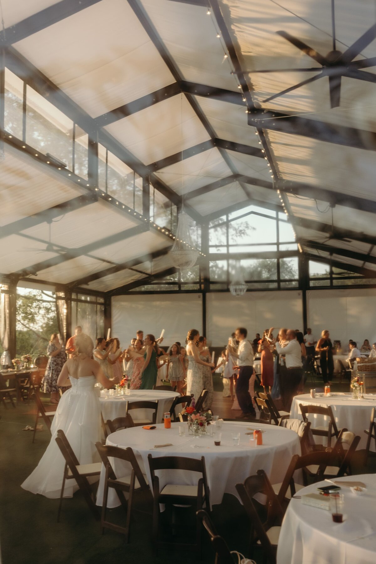 vineyard-wedding-19