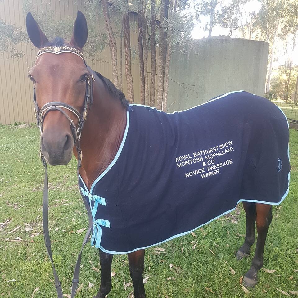 JLW EQUITATION (7)
