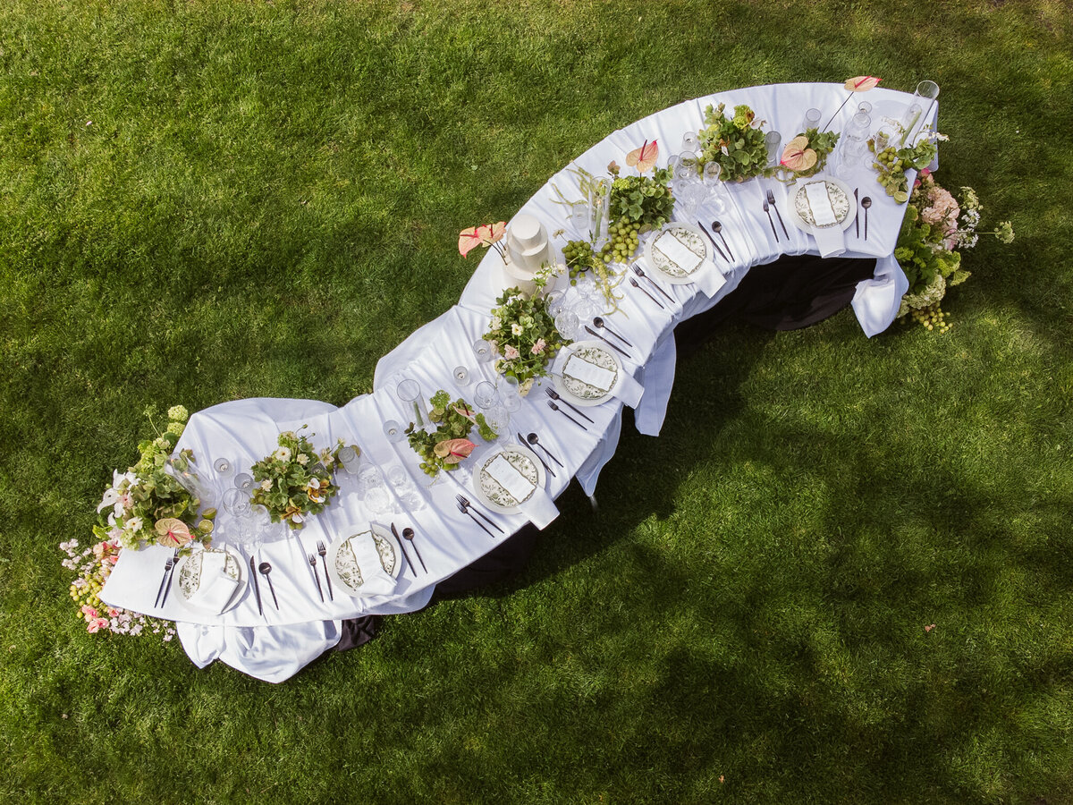 Orting Manor Drone_Lauren New Photography-8