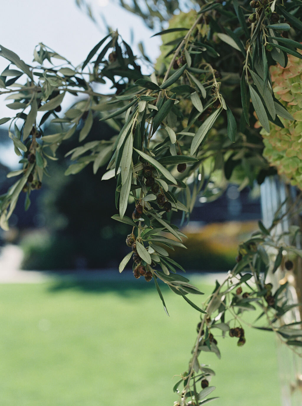 Sarah+JakeWedding_NikiRhodesPhoto-459