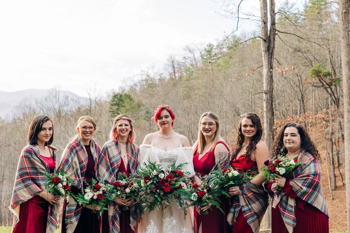 asheville wedding photography 