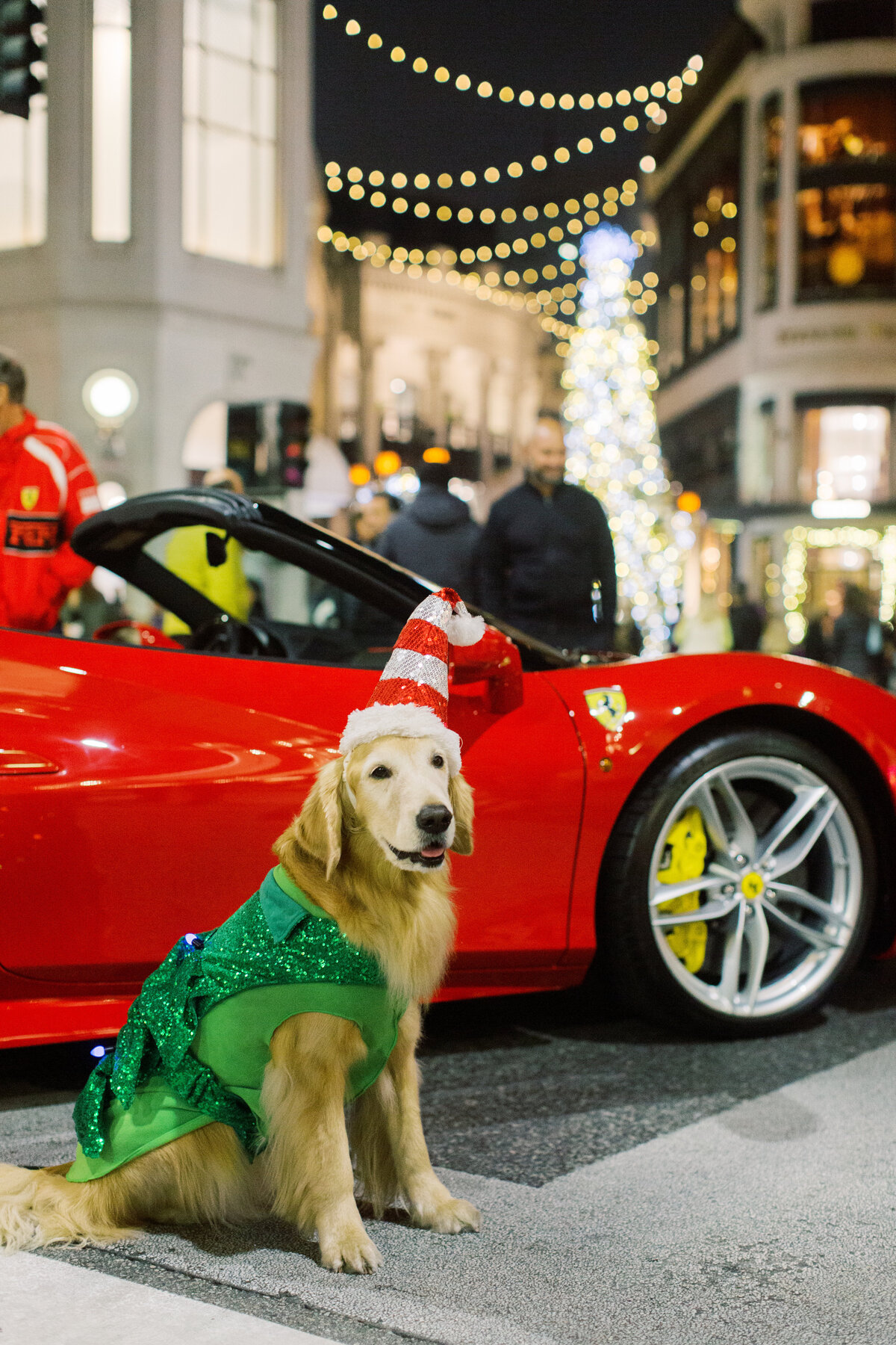 Rodeo Drive Lighting Ceremony-180