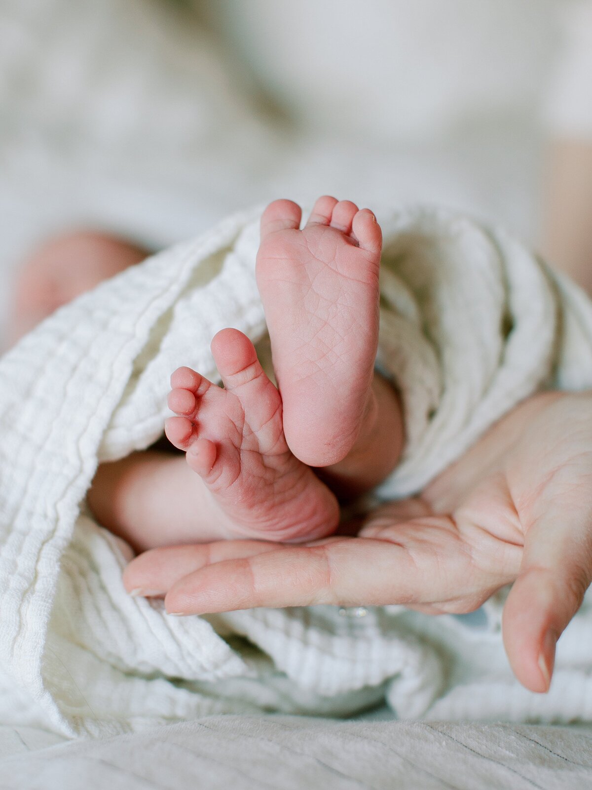 winter-newborn-photos-at-home-charlottesville-va-amy-nicole-photography-0018