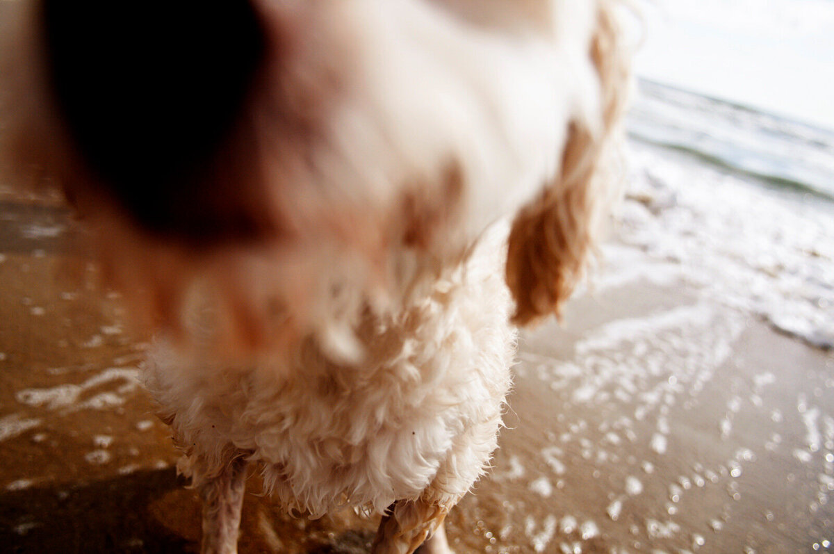 world's-best-vacation-photographer012