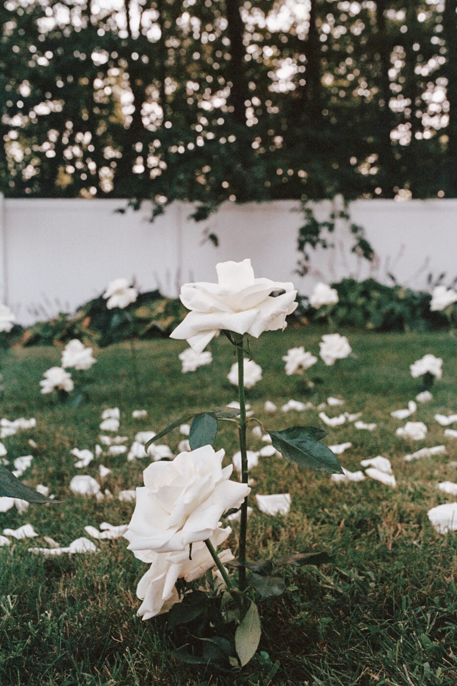 new-england-wedding-photographerZakezewskiAA020