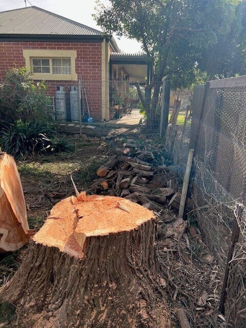 Evergreen Tree Services SA-Rural Property Tree Removal-002