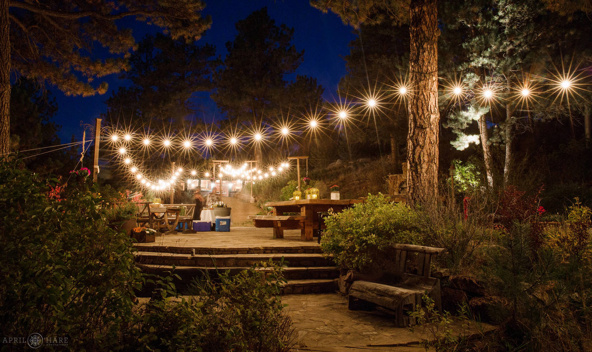 Colorado Wedding Photographer at a private home wedding in the mountains of Conifer