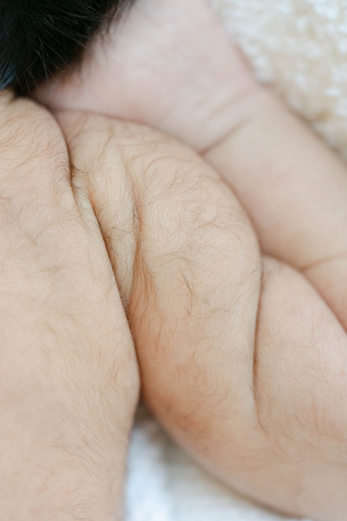 Delaware-Newborn-Photographer-1143