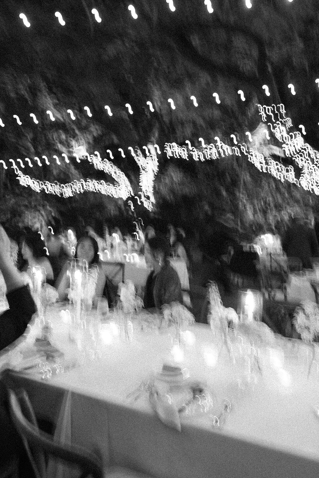 Villa Woodbine Wedding Reception-7