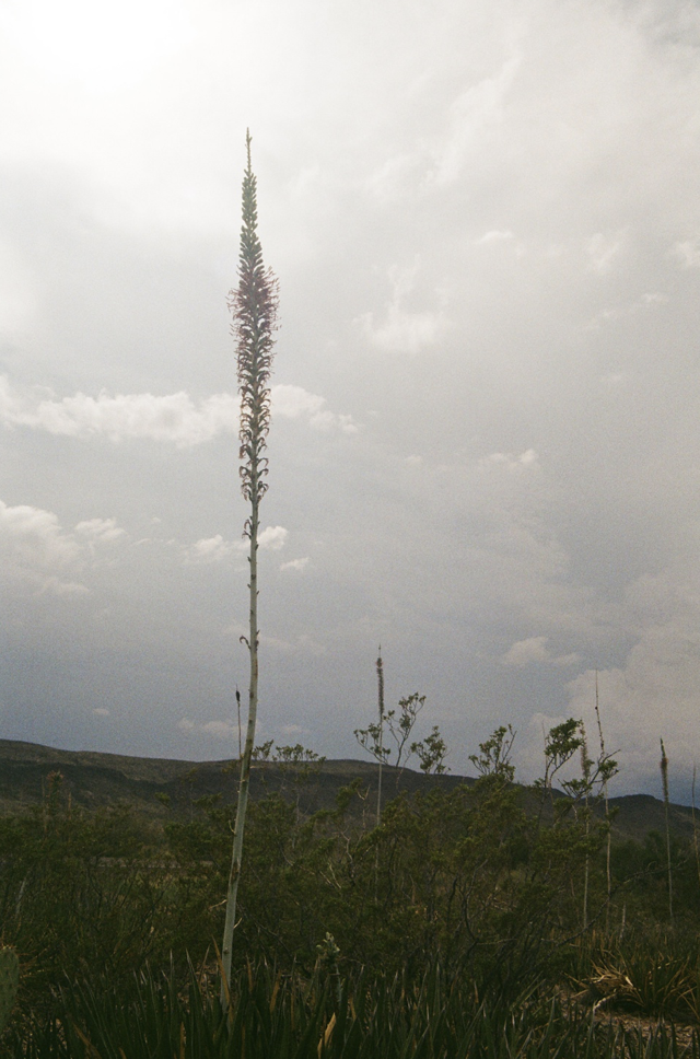 Screenshot 2025-09-23 at 4.28.41 PM