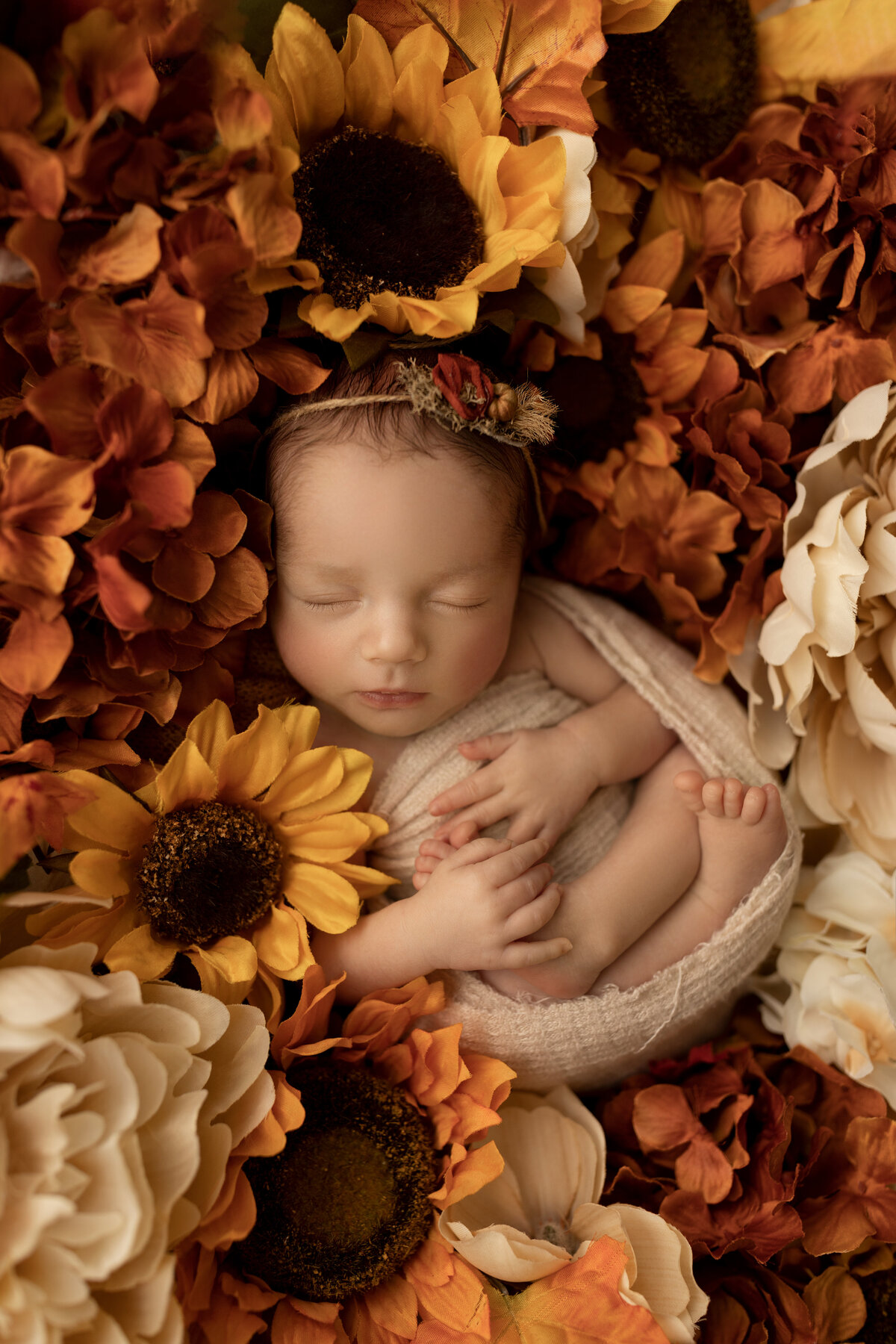 Premiere Newborn Photographer in London, ON | Ogg Photography