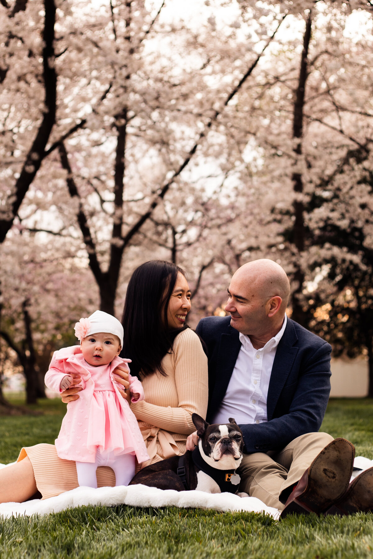 TammyFamily_CherryBlossoms-105