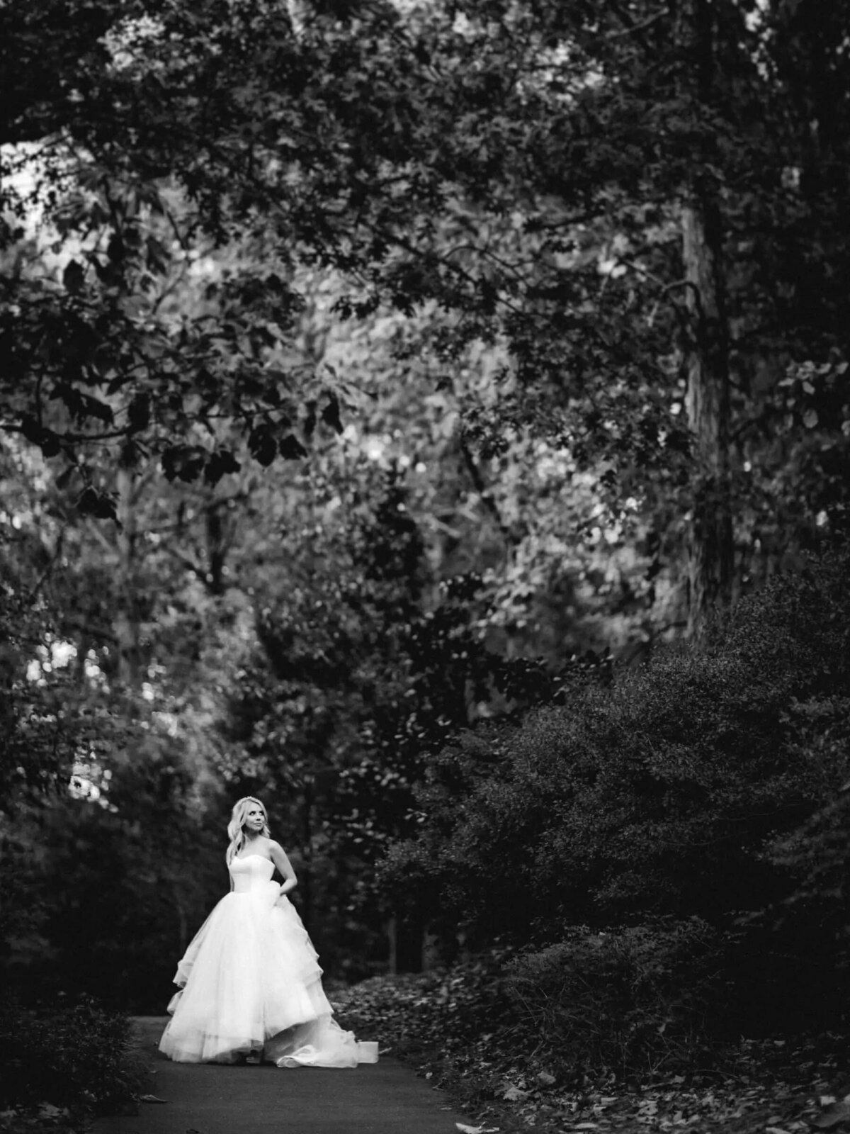 A bride standing on a path in a wooded area