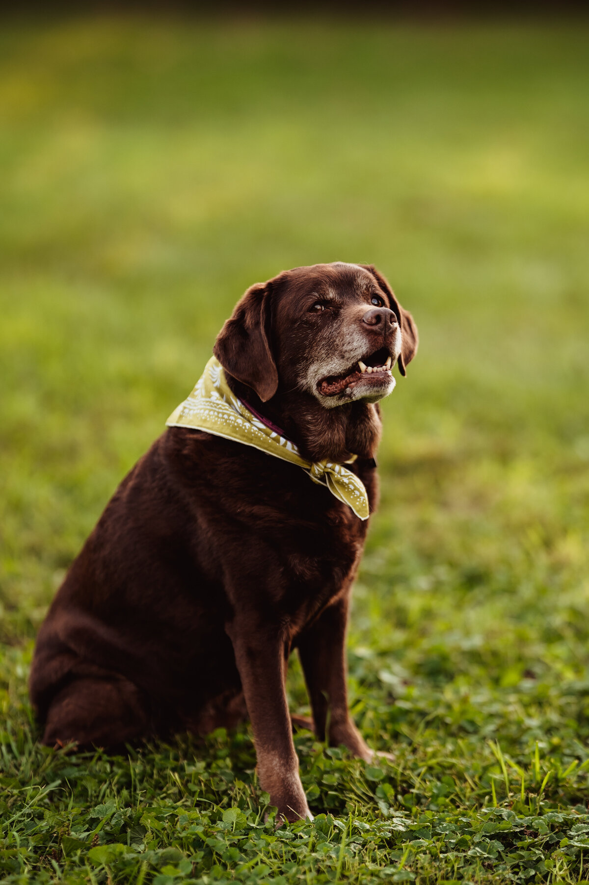 NicoleS_Fall2025_105