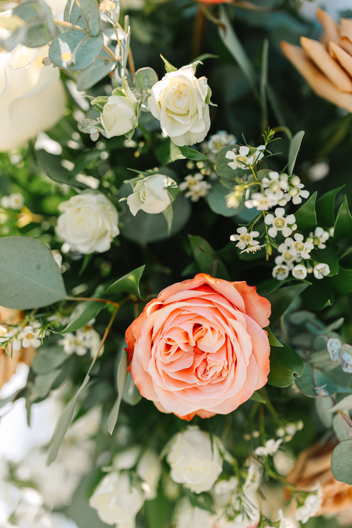 keene-wedding-photos-17