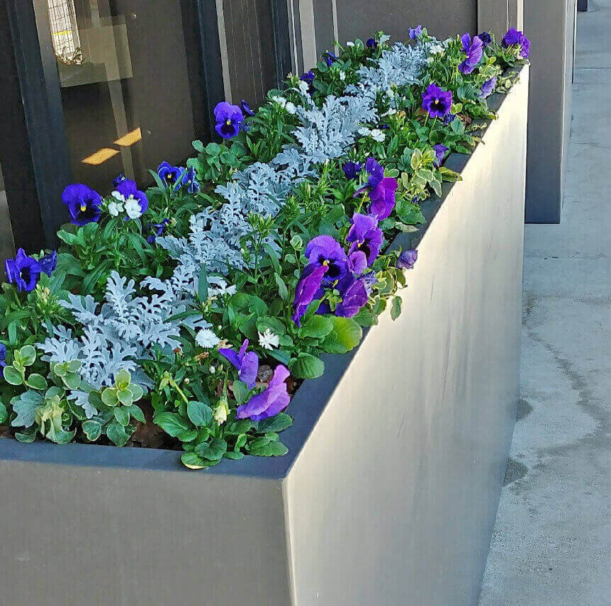 Commercial landscape company project in Kansas City: seasonal flowers showcase