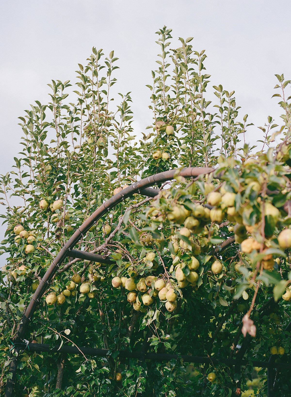 aubrey-cody-big-cedar-film-1