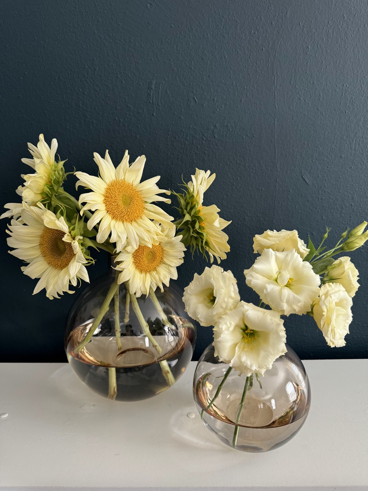 Large circle vases modern