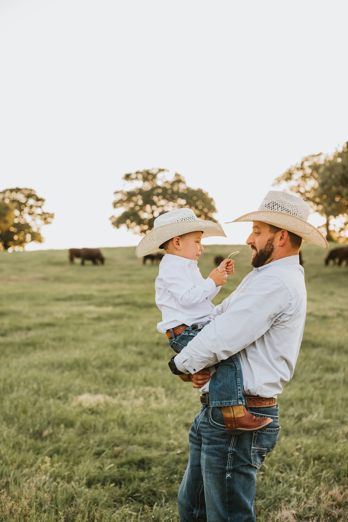 Father and son in matching cowboy hats and clothes standing in front of a field of cows