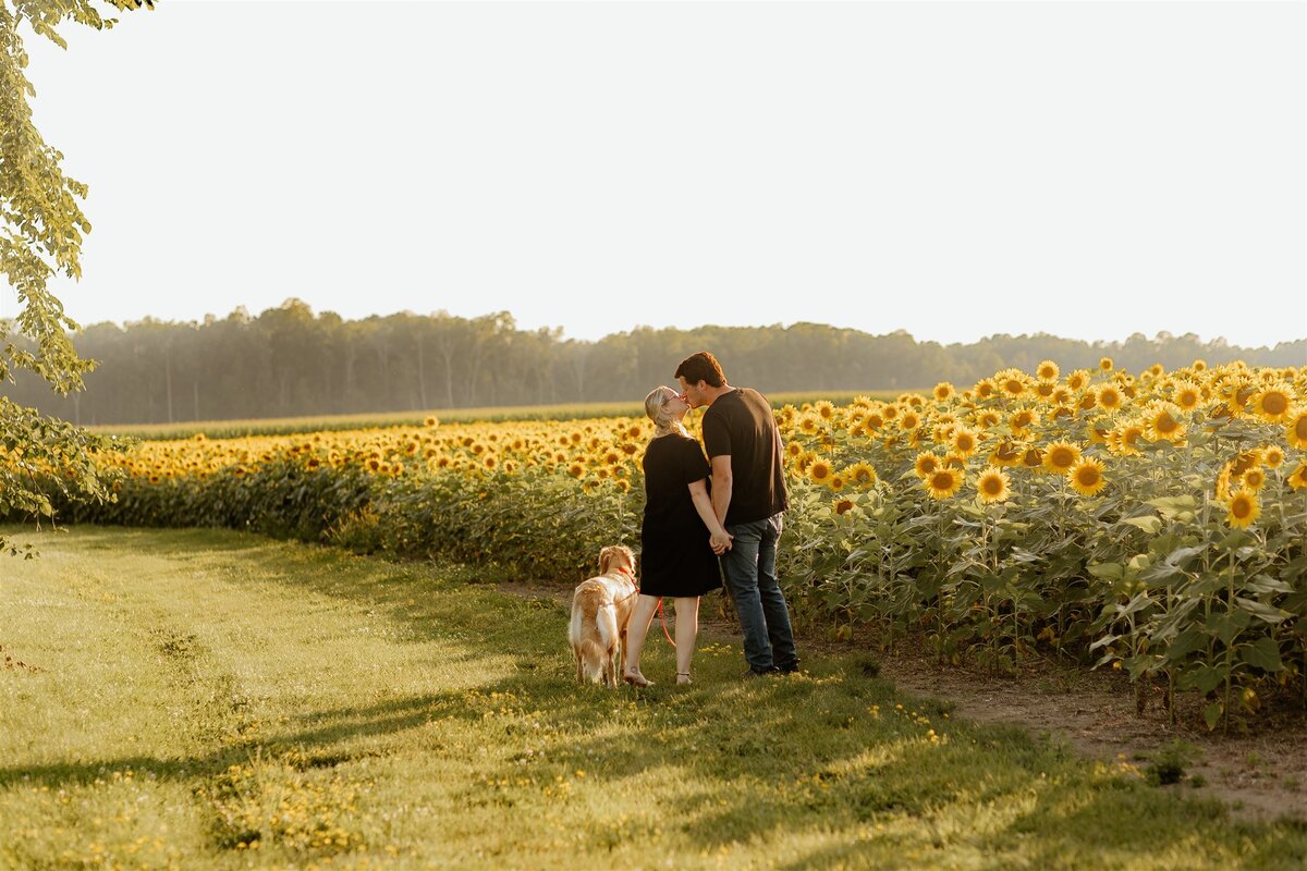 Yvette_Branden_Addy_Sunflower-111