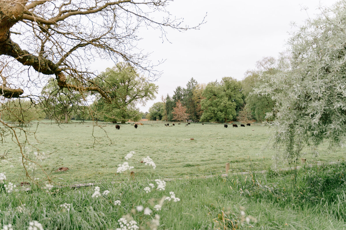 iscoyd-park-wedding-photos-grace-chris-9