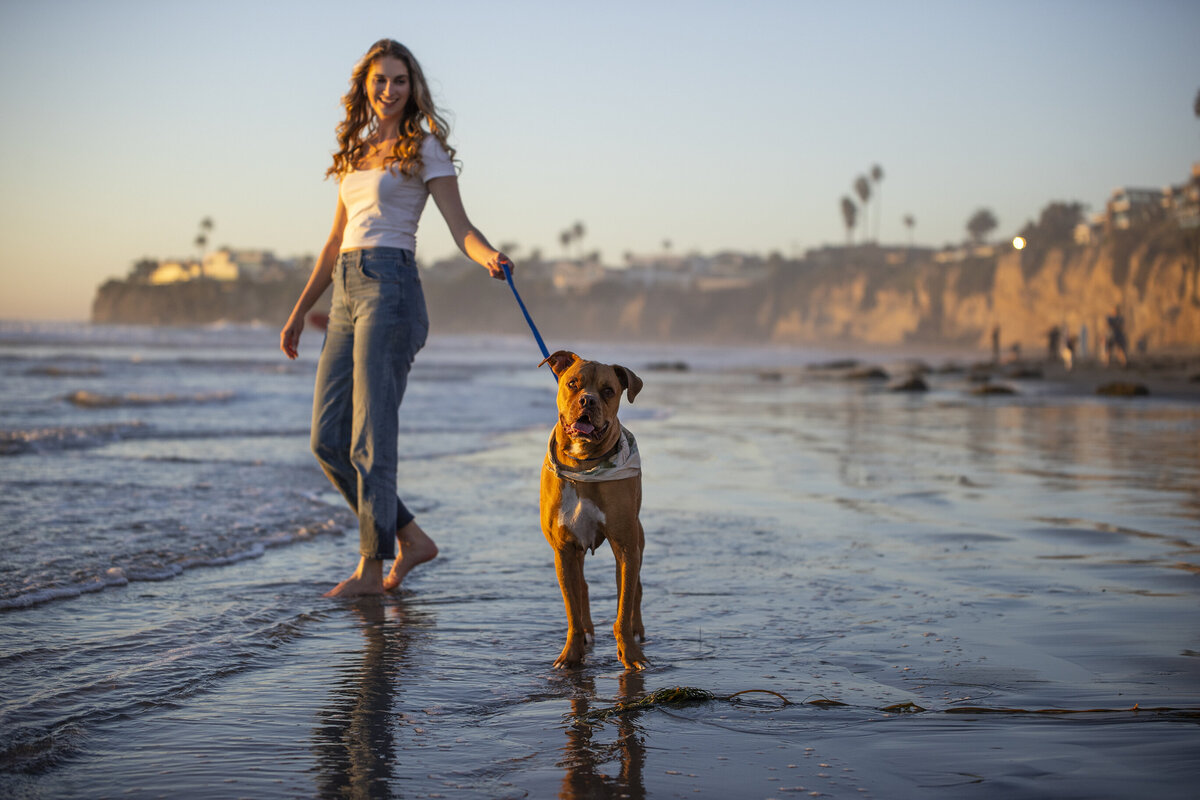 pet photo licensing 4 copy