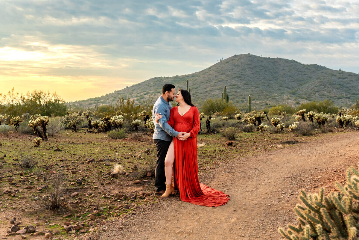Arizona-Maternity-Photographer-131