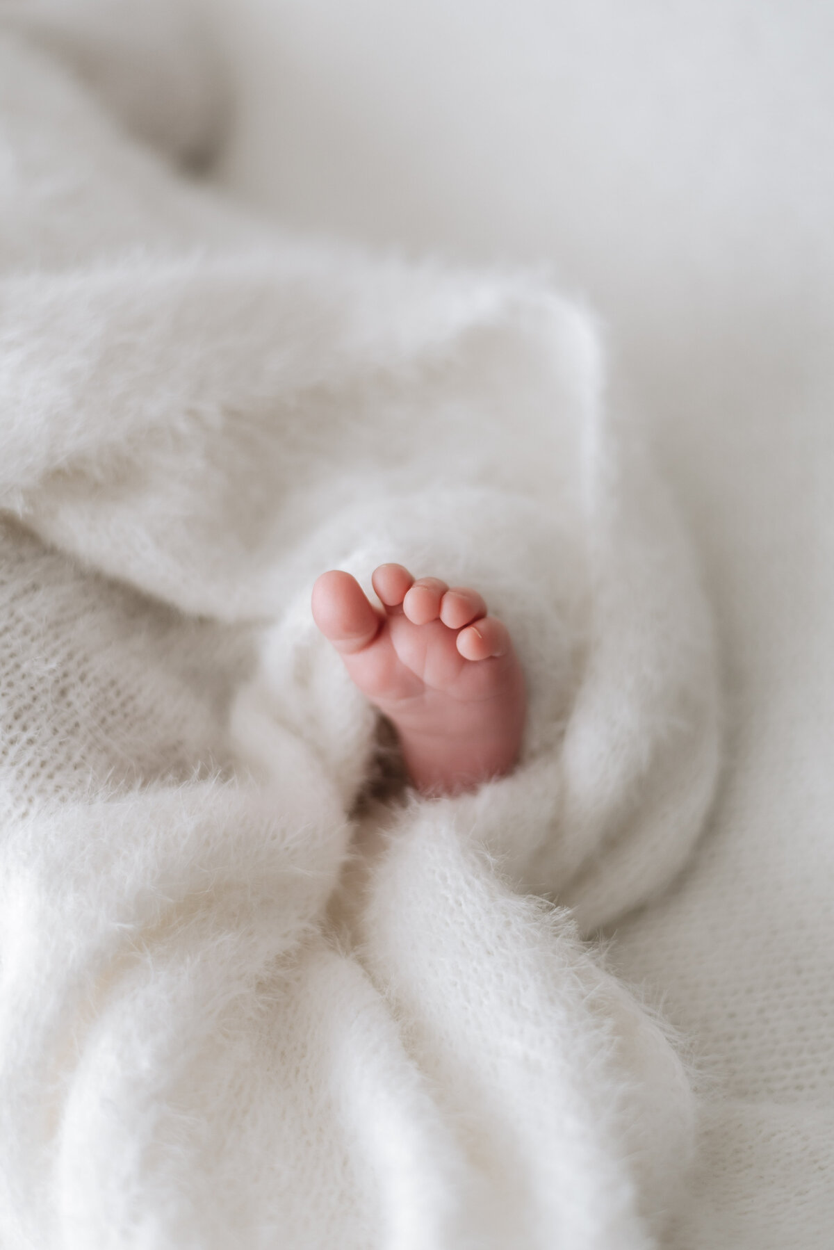 newborn baby goes wrapped in a blanket at a newborn photoshoot in west sussex