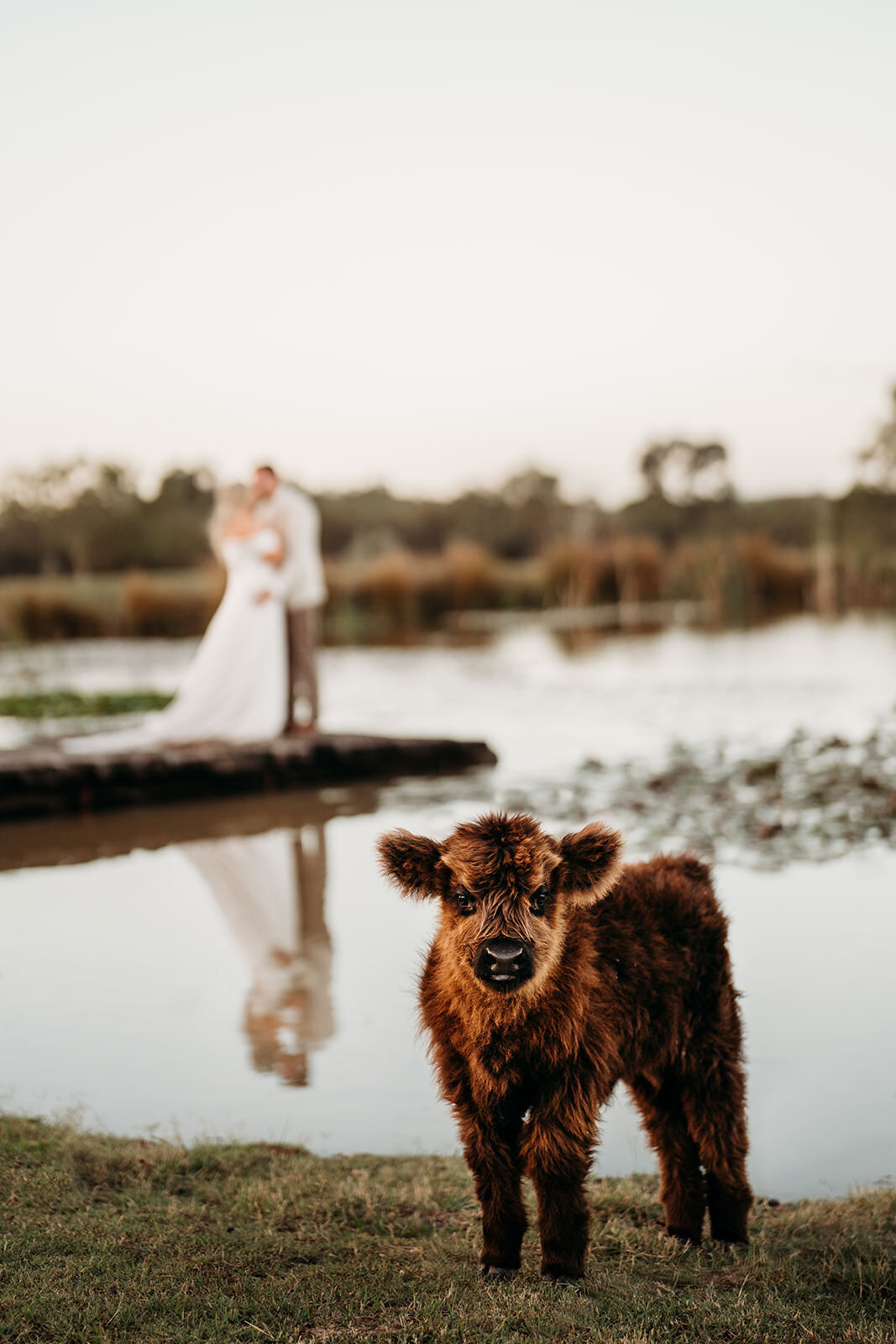 Adams_Peak_Country_Estate_Wedding01