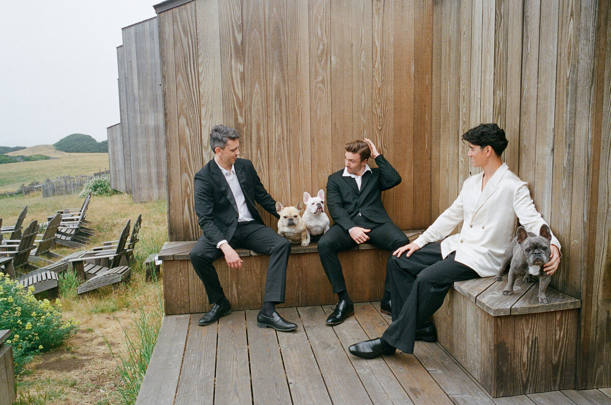 KIMGO_99