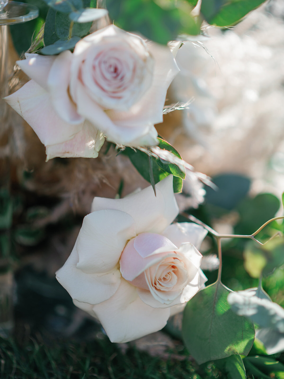 LIANNA MARIE PHOTOGRAPHY 412_websize