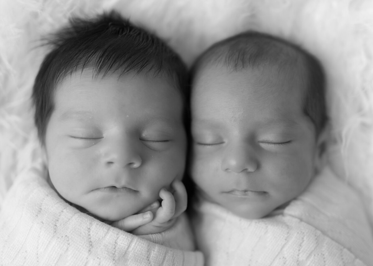 Sterling Heights MI Newborn Photography
