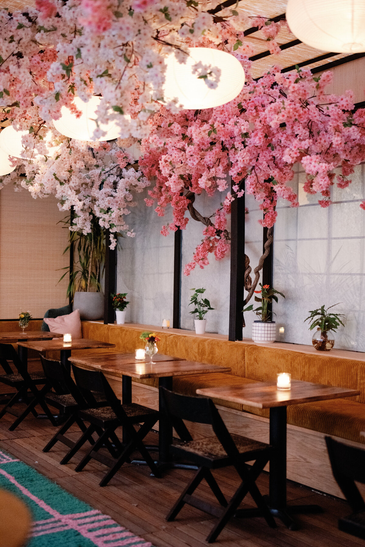 mercy me bar recepetion with cherry blossom instal at washington dc wedding