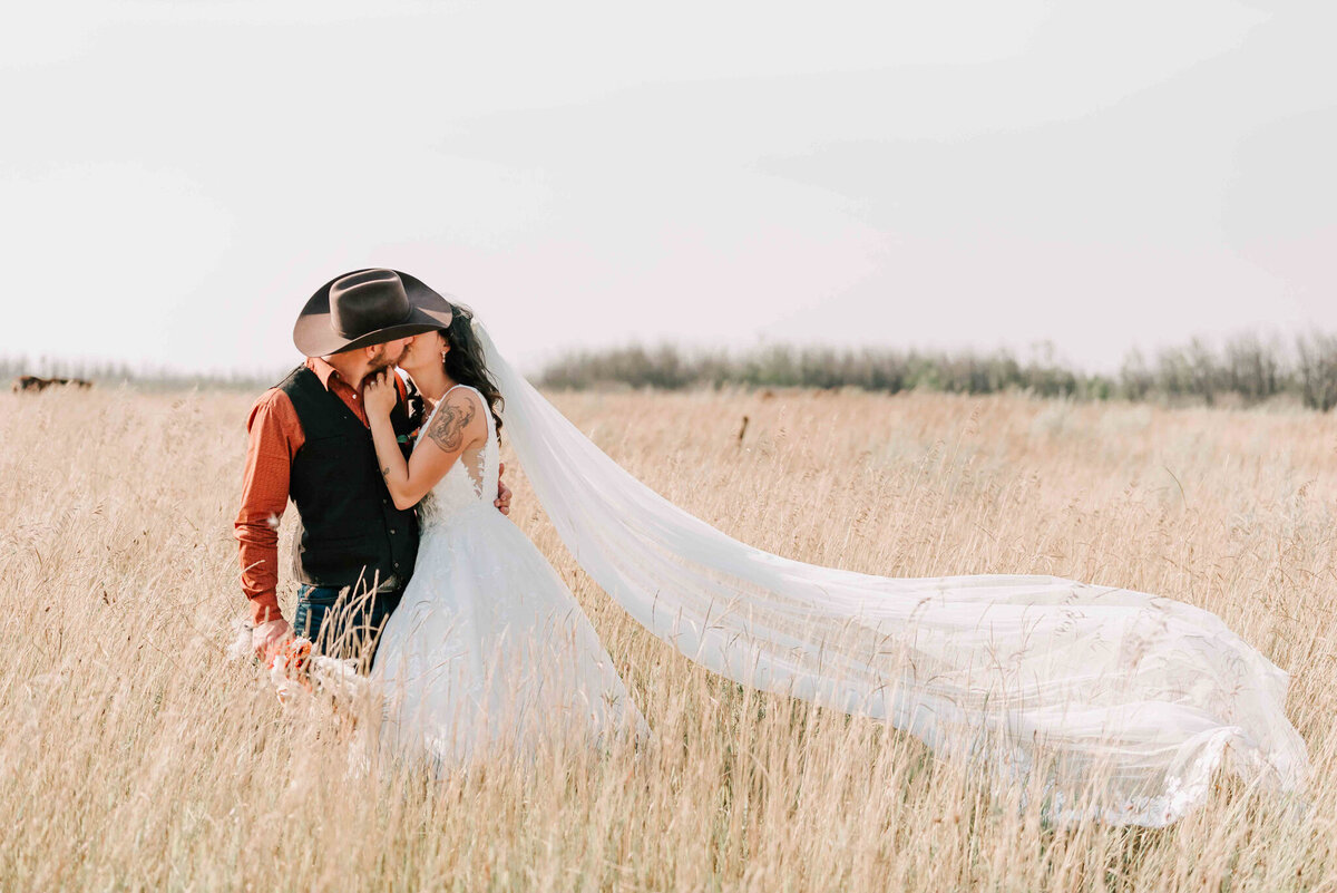 Bride and groom stand in the field and share a kiss. Veil blowing in the wind. 