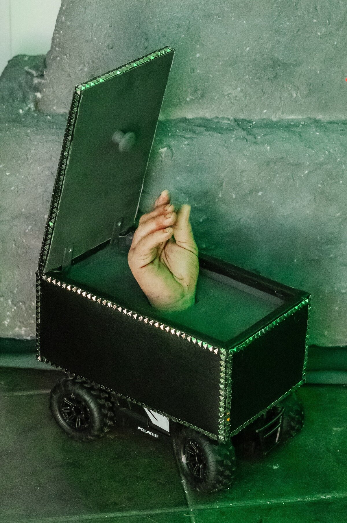 10 - St. Petersburg Halloween Wedding Ring Bearer - Tampa Bay Wedding Planner