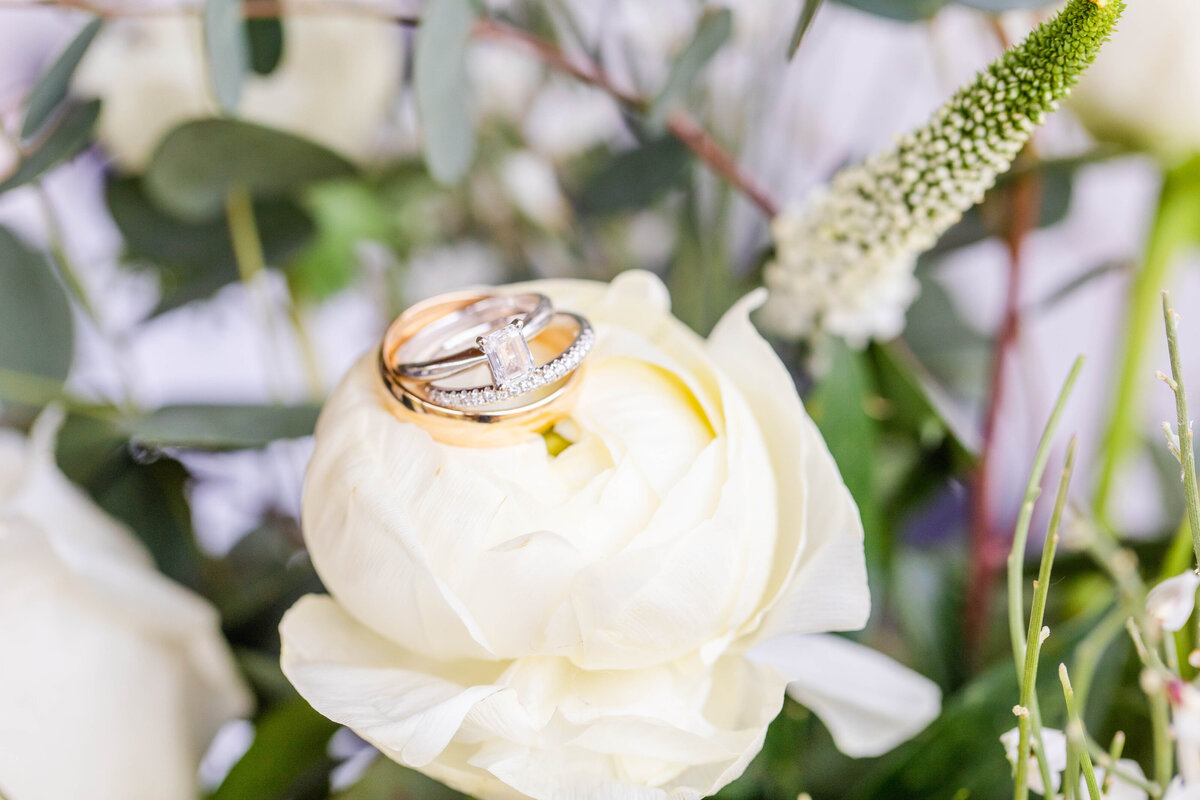 white rose with engagement rings on top of it