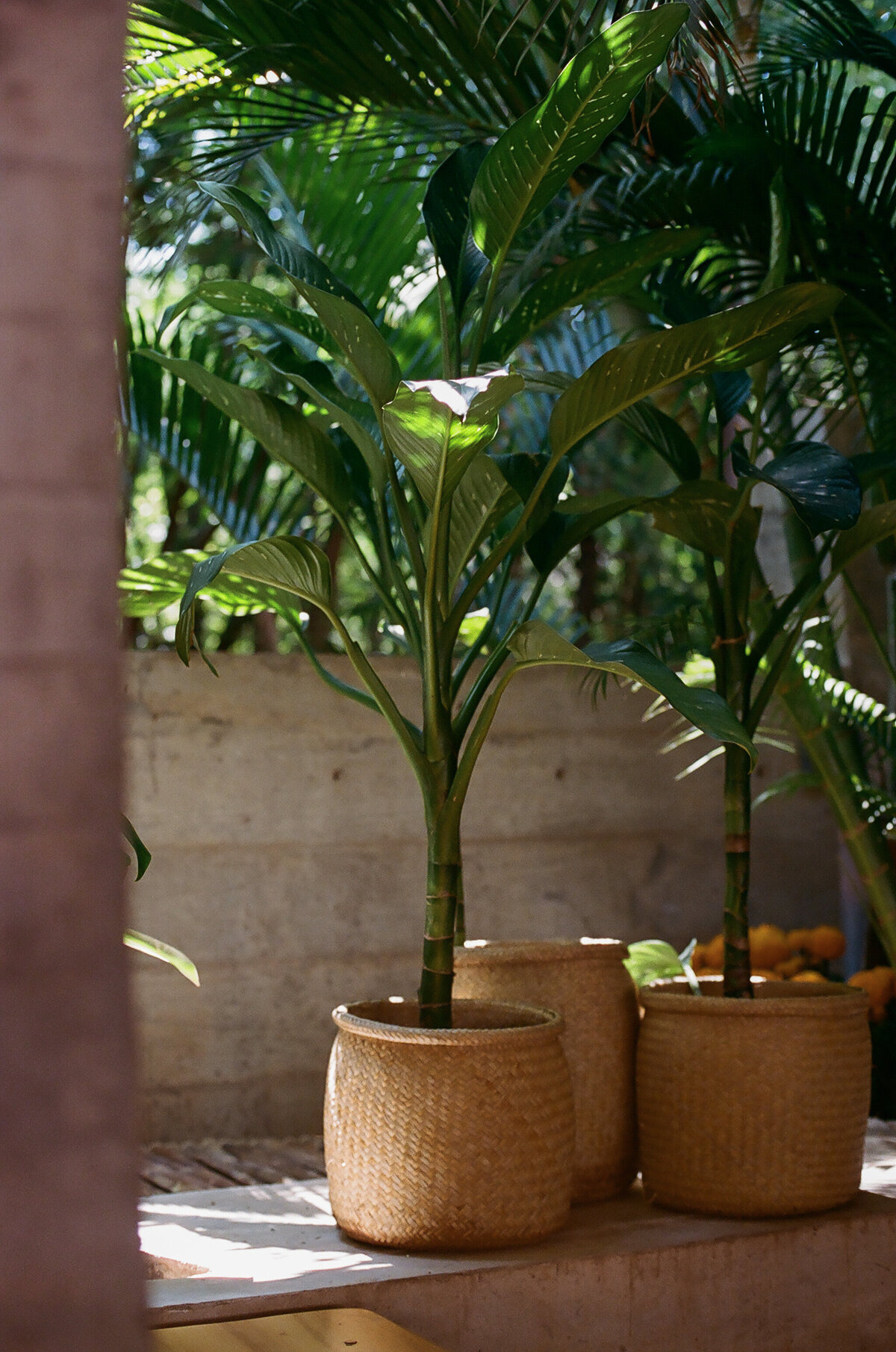 Dani - Oaxaca-9