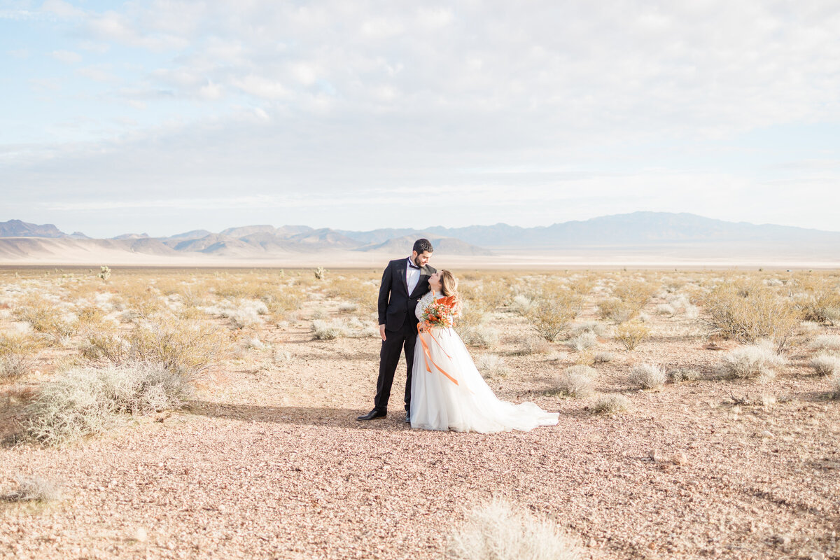 Arizona-Wedding-Photo-Willow-And-Rove
