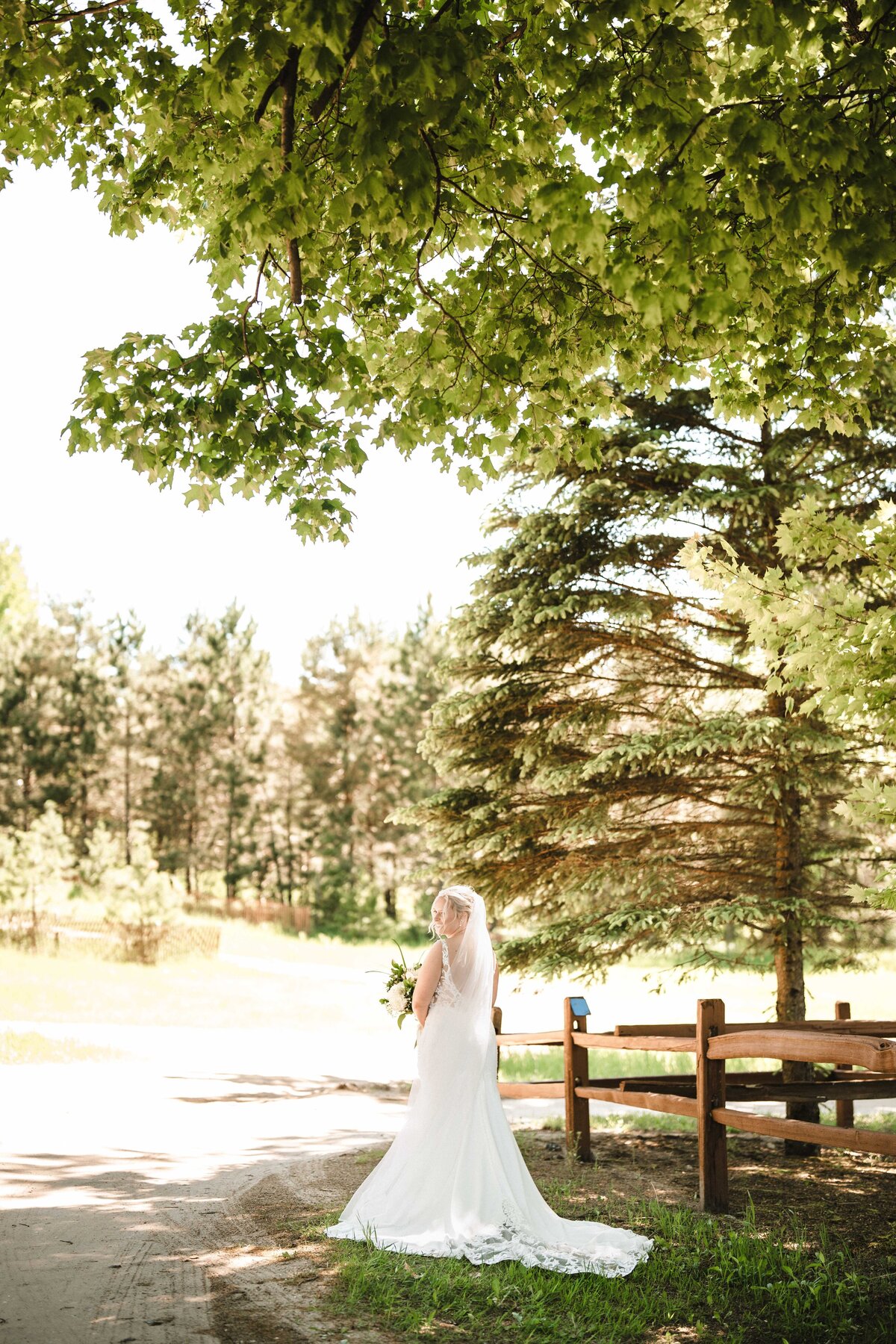 michigan micro wedding photographer16