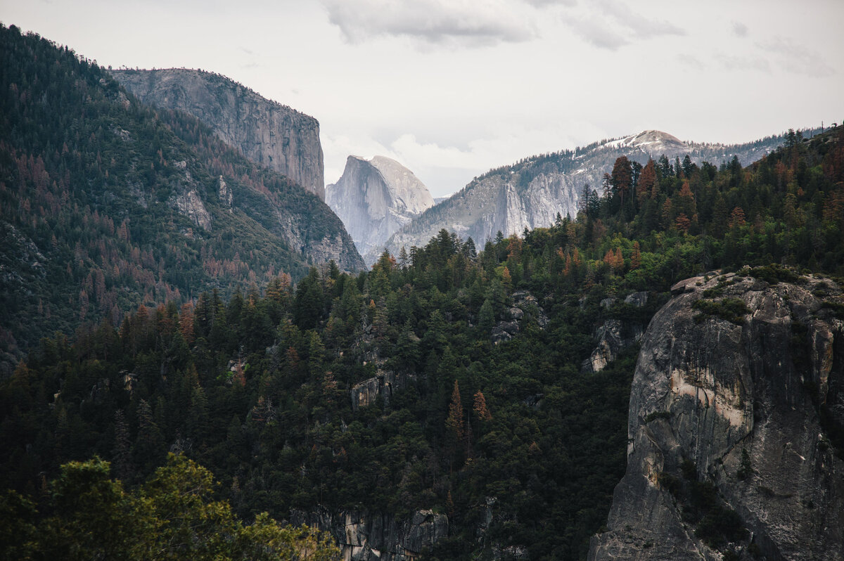 Yosemite Elopement Packages