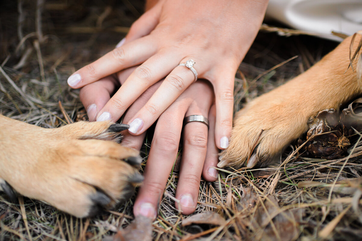 Boulder_Colorado_Elopement_Destination_wedding_studiotwelve52_kaseyrajotte_89