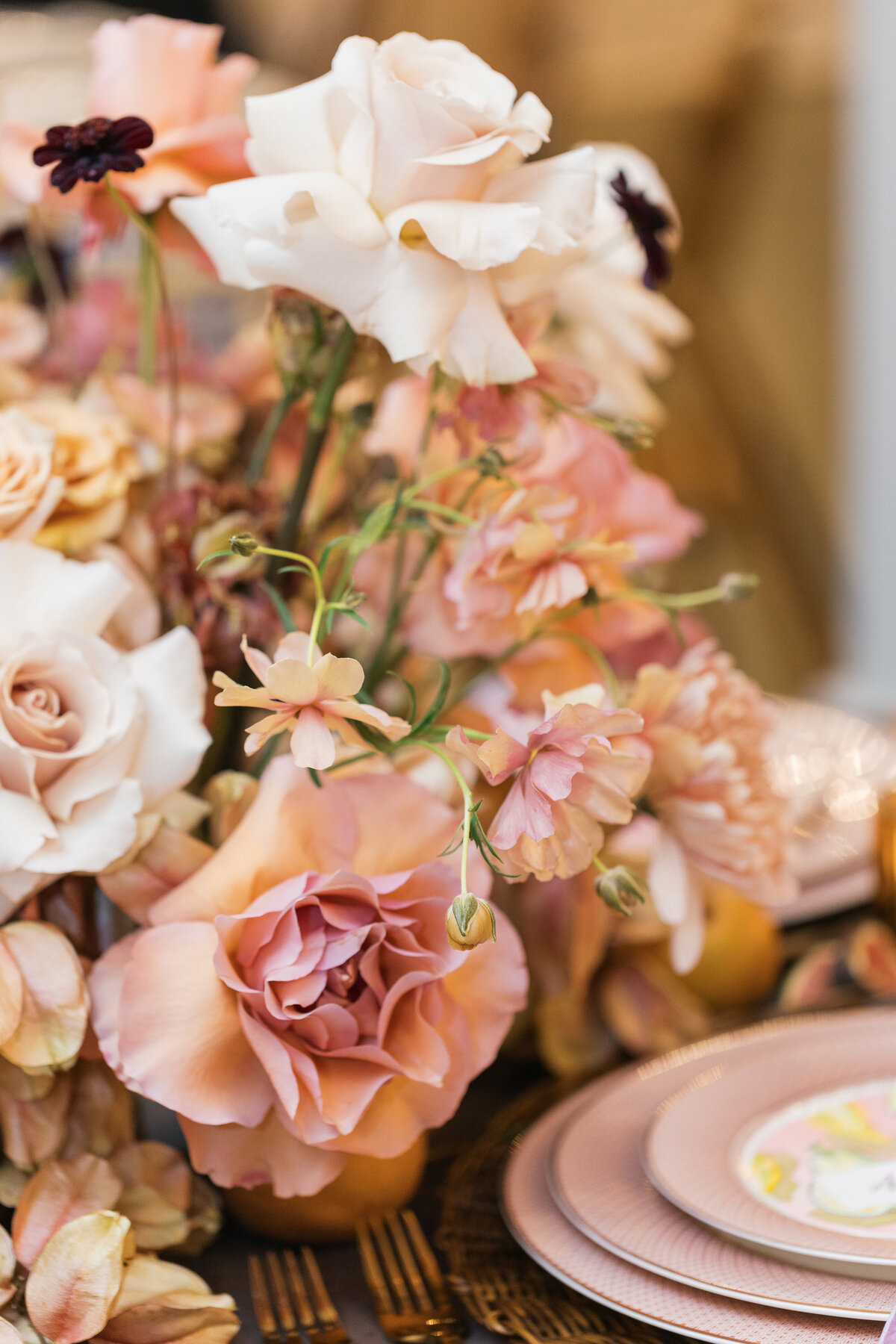 Emily-Peters-Photographhy-7