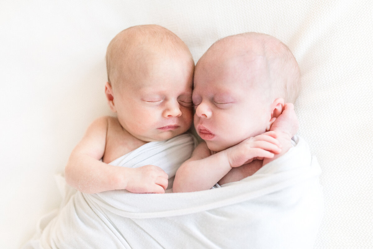 roswell twin photographer newborn photos