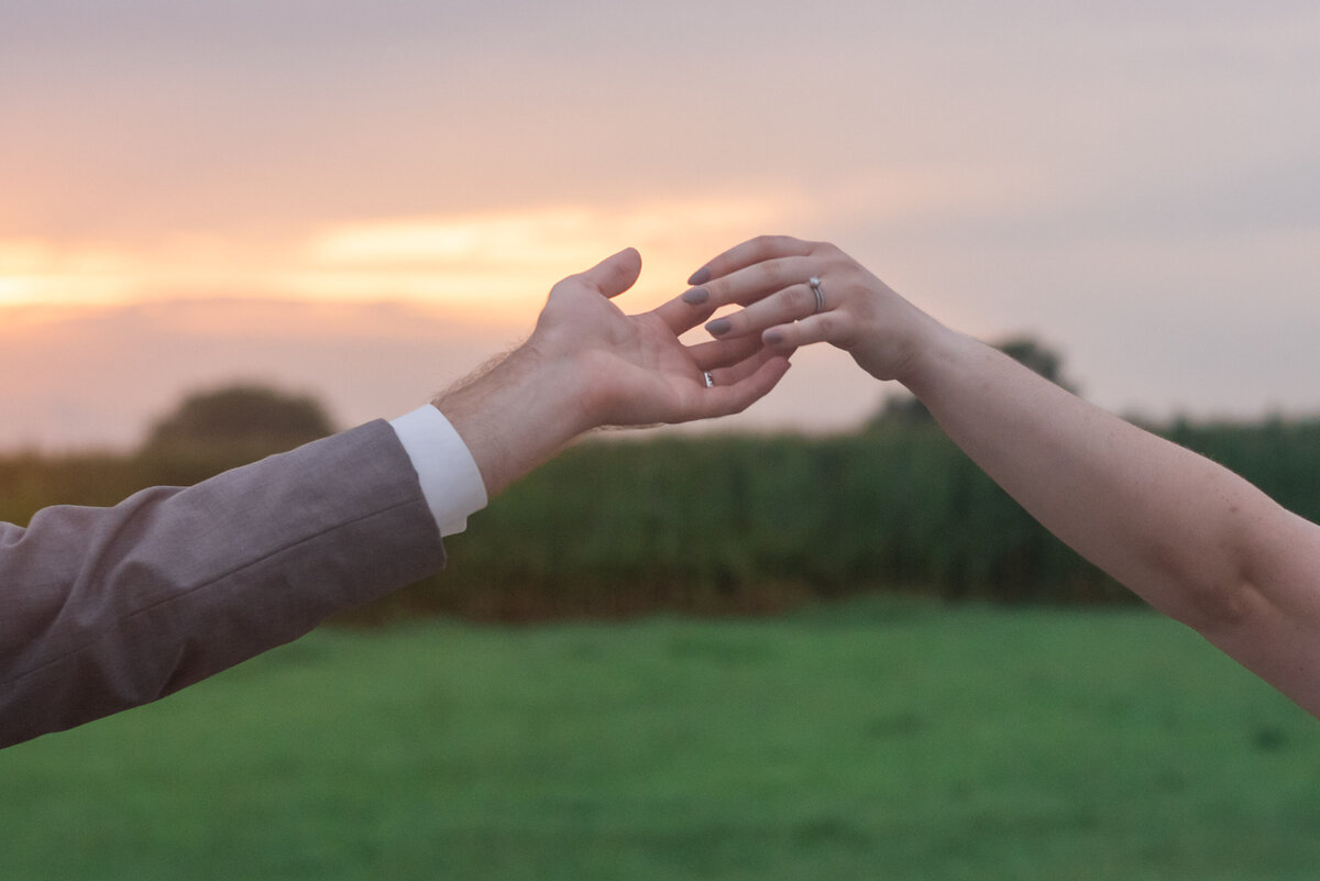 Hands of bride and groom reaching out wedding in bowling green at a dairy farm