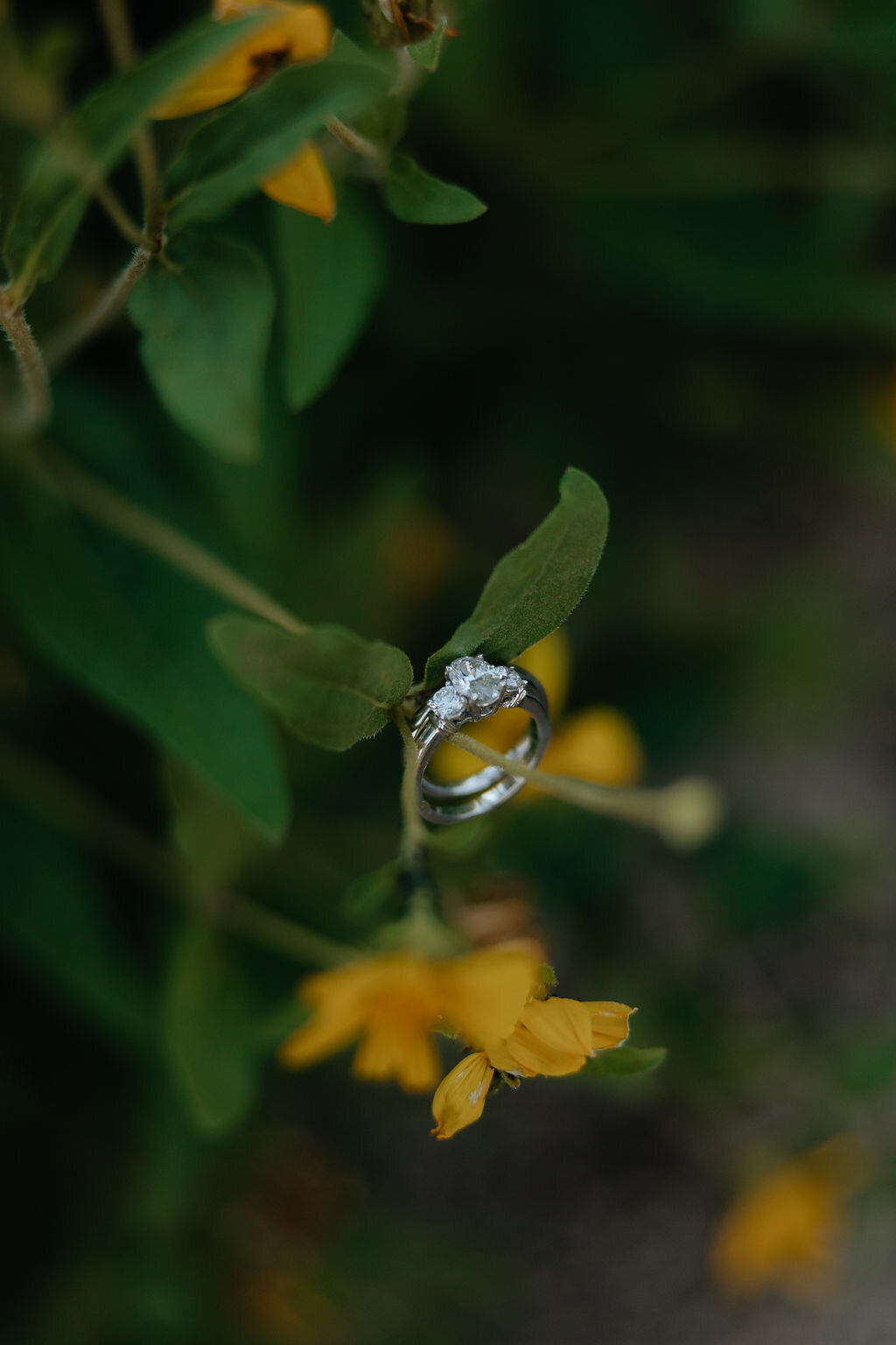Abby+Preston-EngagementsISP-27